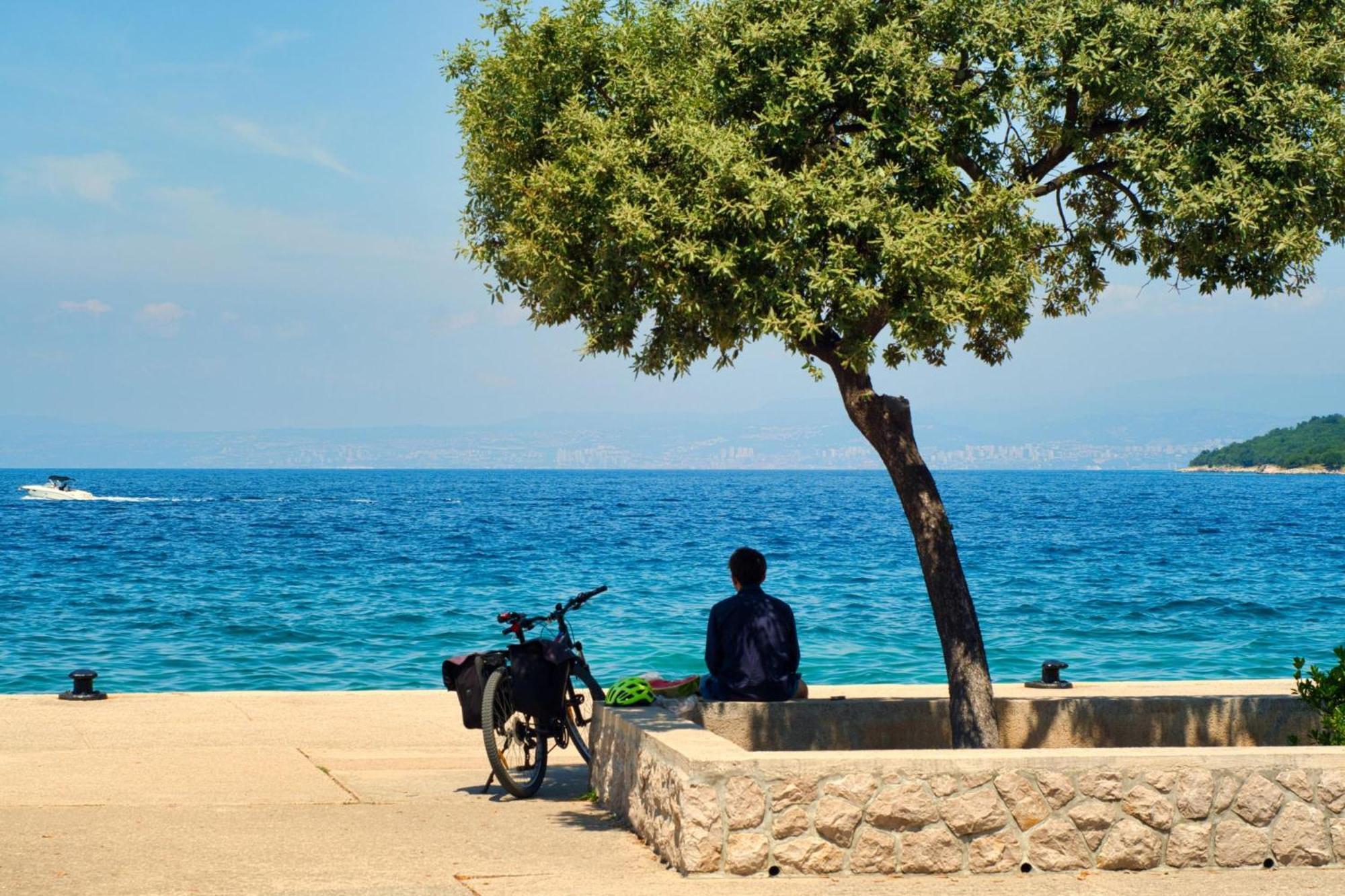 Apartments Brankica Island - Happy Rentals Vantacici Εξωτερικό φωτογραφία